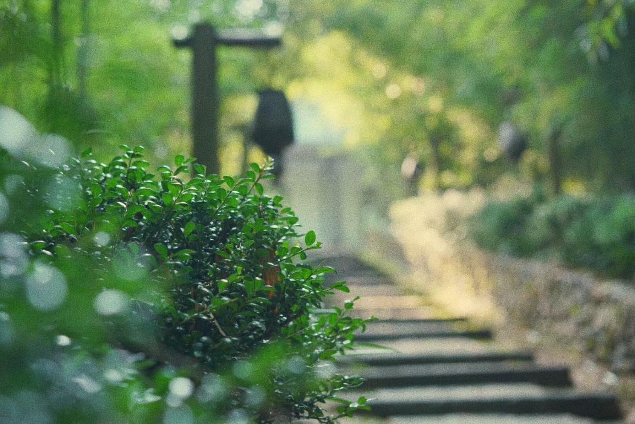 July Bamboo Hostel Deqing ภายนอก รูปภาพ